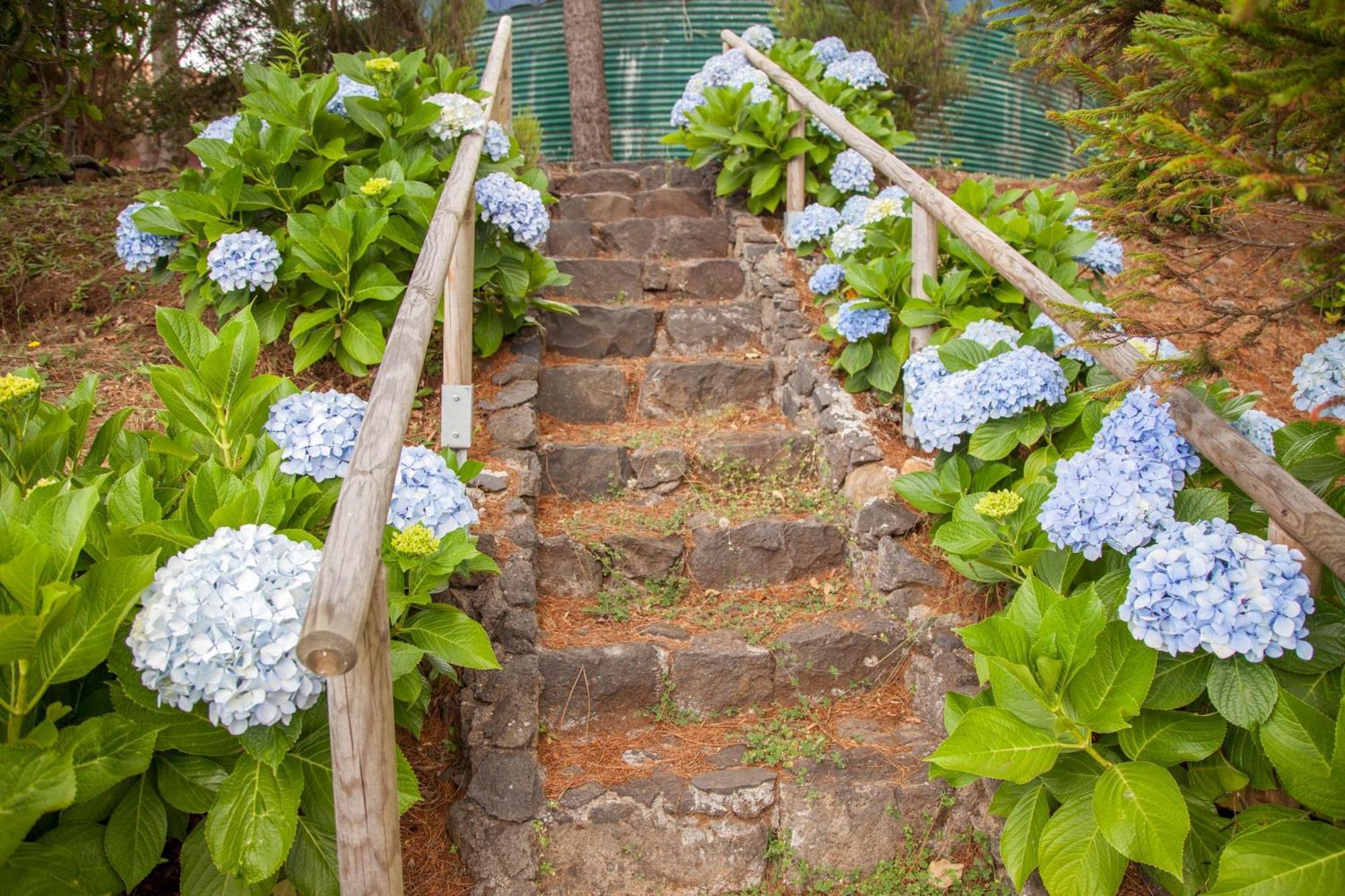 Quinta Do Santo By Lovelystay Hébergement de vacances