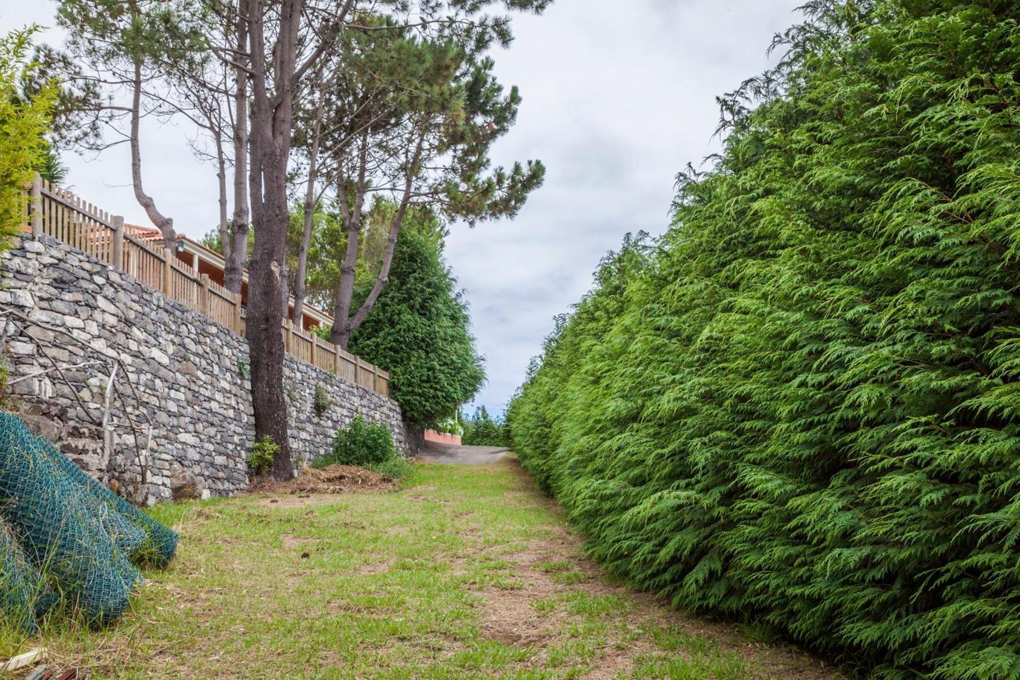 Quinta Do Santo By Lovelystay Holiday home